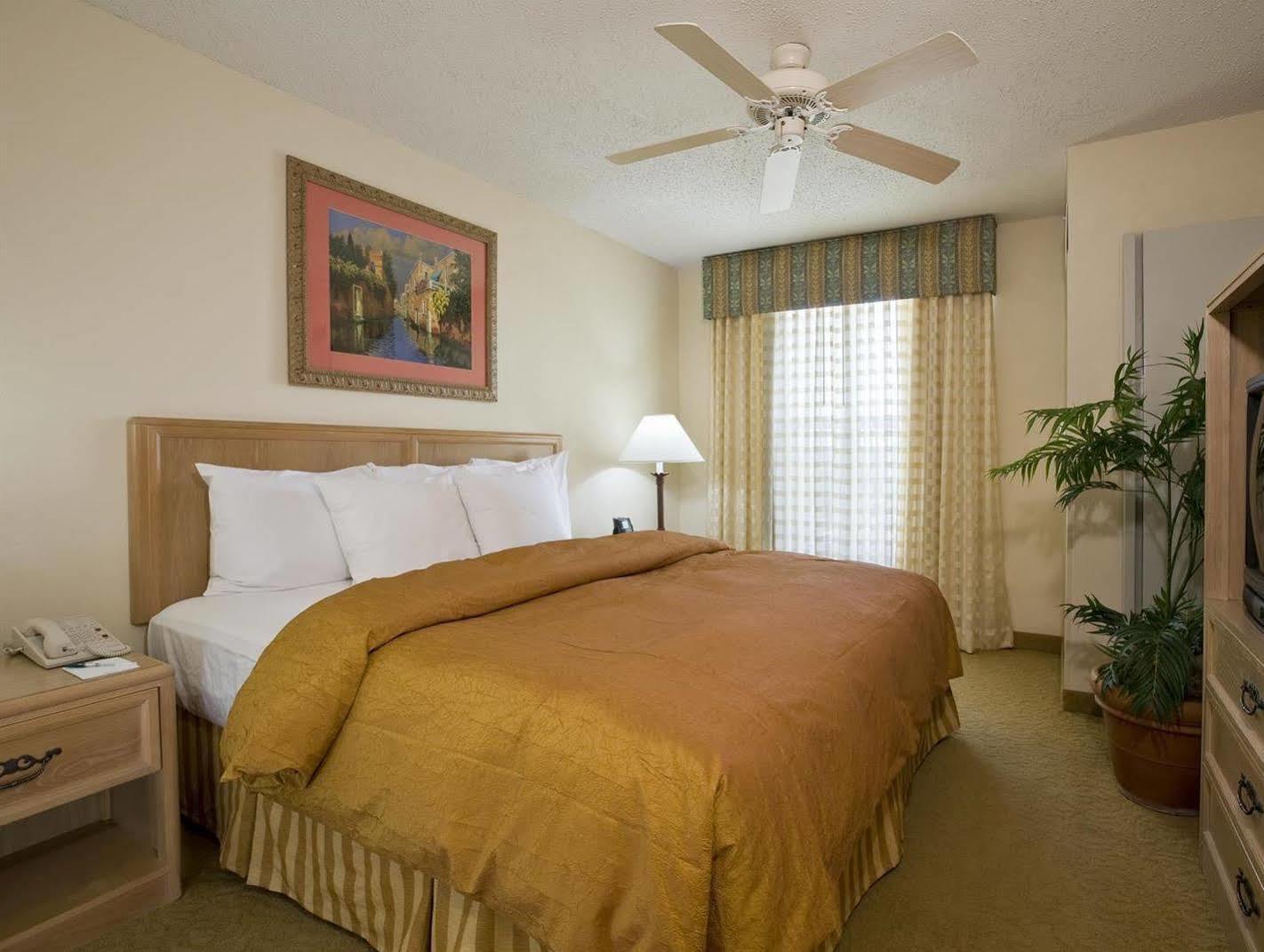 Homewood Suites By Hilton Austin South Zimmer foto